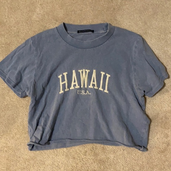 Brandy Melville Tops - blue bandy melville hawaii baby t